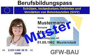 berufsbildungspass